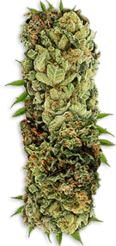 home2_right_product2 home2_right_product2